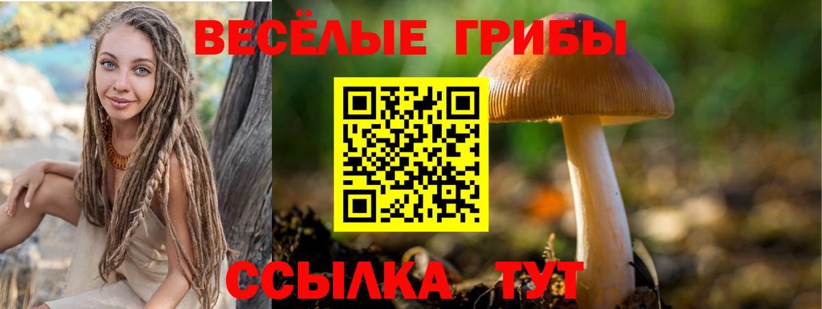 Псилоцибиновые грибы Psilocybine cubensis  дарнет шоп  Вход с VPN  Королёв  Галлюциногенные грибы мухоморы 